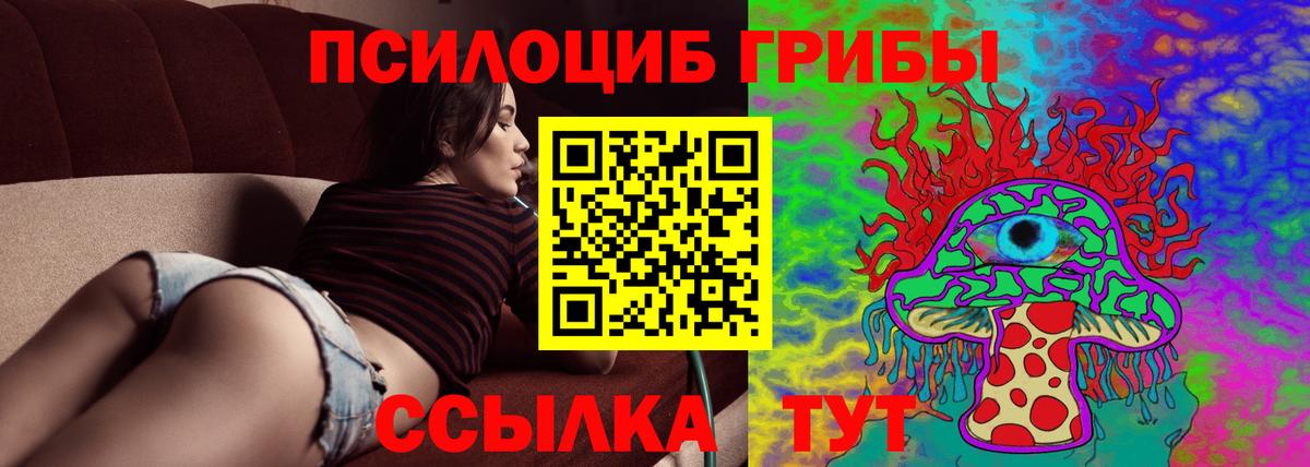 Ярославль  Псилоцибиновые грибы Psilocybine cubensis  магазин  наркотиков  Вход с VPN 