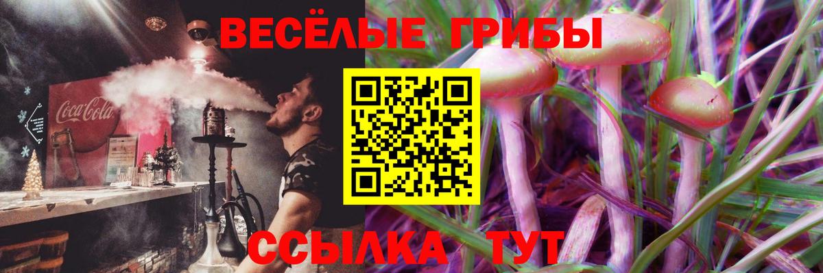 Галлюциногенные грибы Cubensis Ярославль