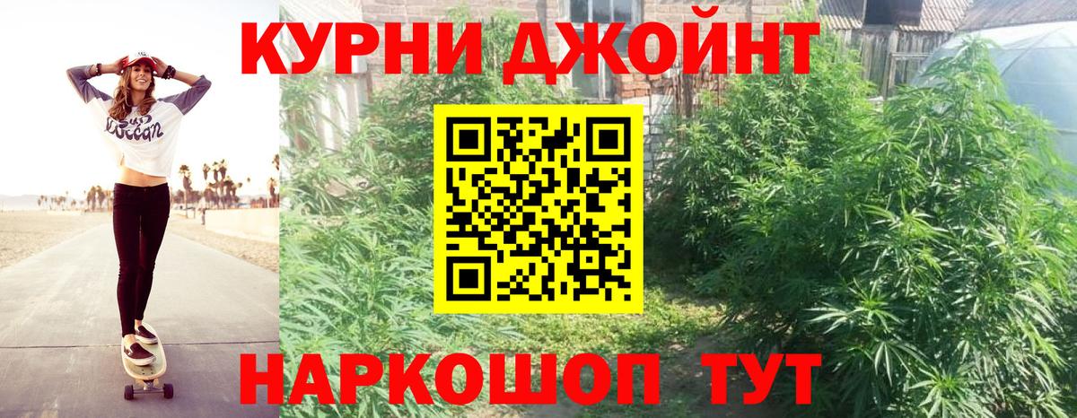 Каннабис Ganja  Шишки марихуана конопля  Бошки Шишки Ganja  Ярославль  Канабис SATIVA & INDICA  Вход с VPN 